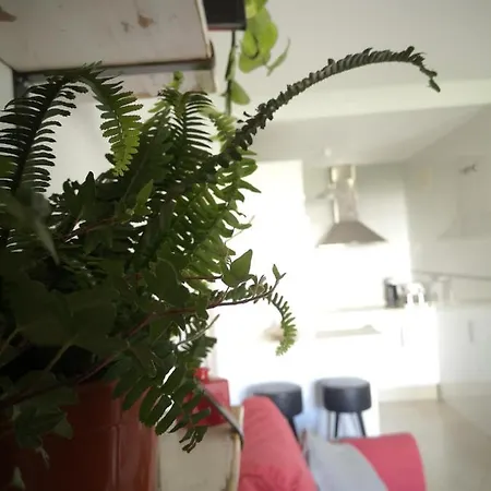 Apartment Entres Dos Paraisos: Zahara De Atunes Y Tarifa La Zarzuela